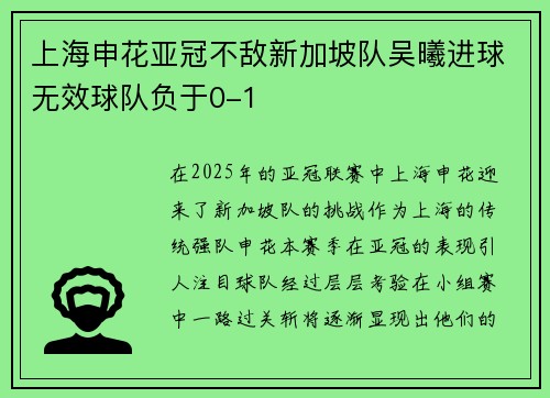上海申花亚冠不敌新加坡队吴曦进球无效球队负于0-1